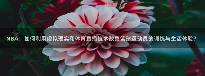 24直播足球免费观看入口：NBA：如何利用虚拟现实和体育直播技术改善篮球运动员的训练与生活体验？