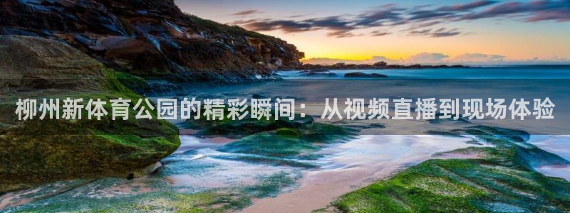 24直播网足球在线：柳州新体育公园的精彩瞬间：从视频直播到现场体验