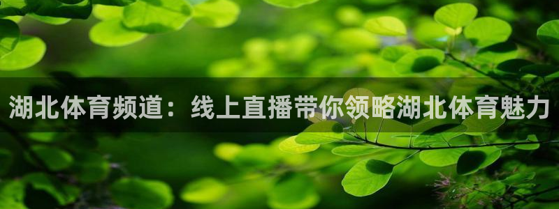 24直播网体育直播：湖北体育频道：线上直播带你领略湖北体育魅力