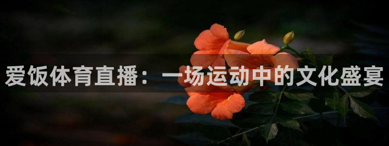 24直播app：爱饭体育直播：一场运动中的文化盛宴