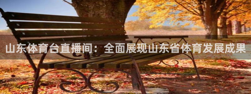 24直播网篮球：山东体育台直播间：全面展现山东省体育发展成果