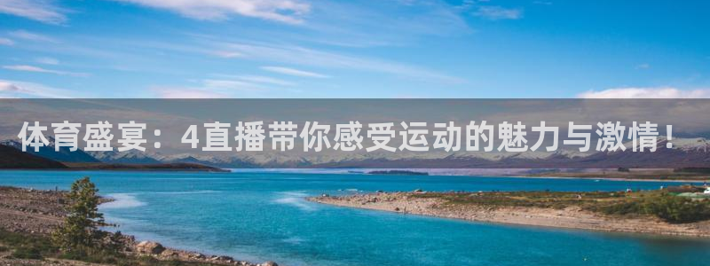 24直播nba免费高清在线观看：体育盛宴：4直播带你感受运动的魅力与激情！