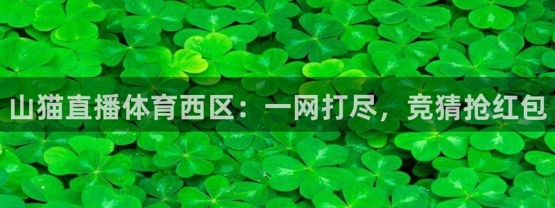 24直播吧nba在线直播免费：山猫直播体育西区：一网打尽，竞猜抢红包