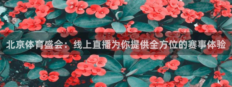 24直播网nba在线直播：北京体育盛会：线上直播为你提供全方位的赛事体验