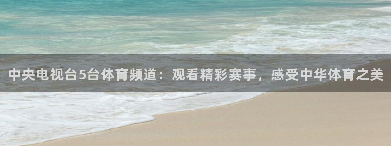 英超直播24直播网：中央电视台5台体育频道：观看精彩赛事，感受中华体育之美