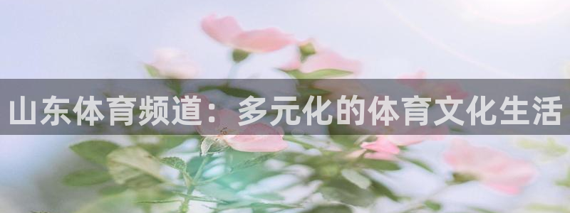 24足球直播网24直播吧：山东体育频道：多元化的体育文化生活