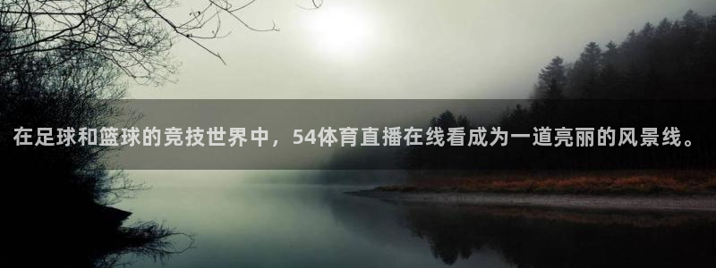 24直播免费篮球球直播：在足球和篮球的竞技世界中，54体育直播在线看成为一道亮丽的风景线。