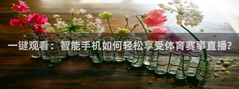 24直播足球直播：一键观看：智能手机如何轻松享受体育赛事直播?